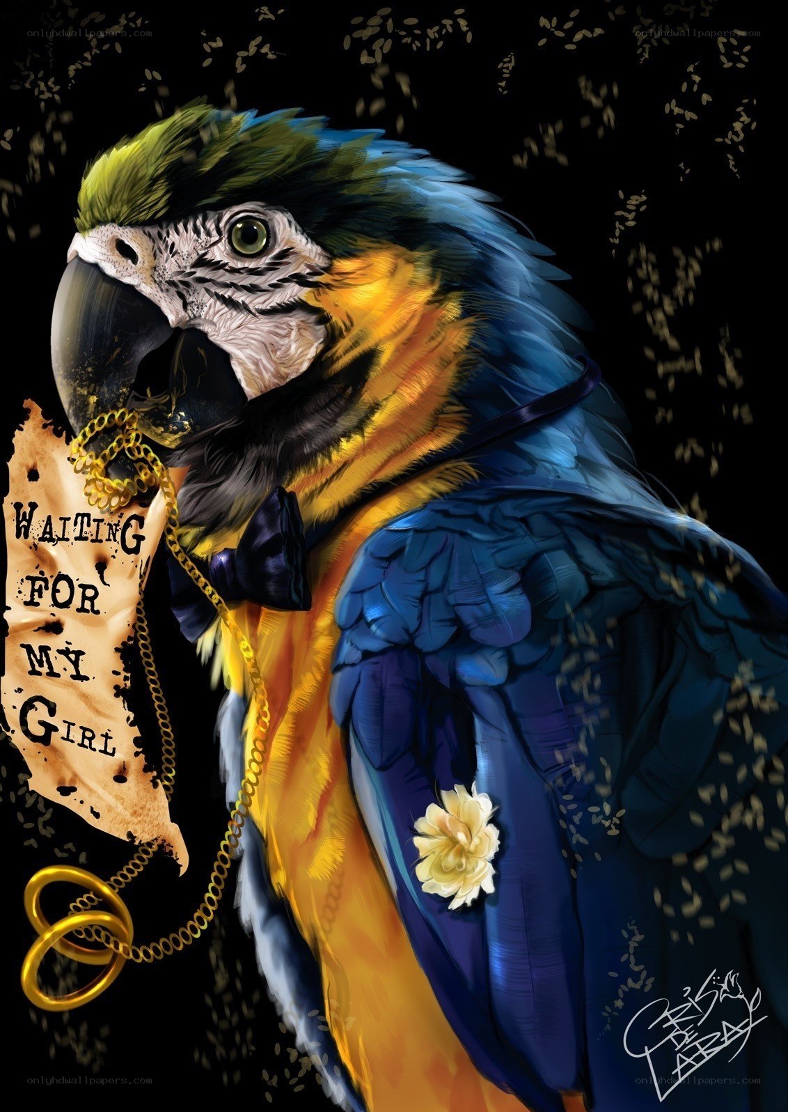 parrot in formal attire