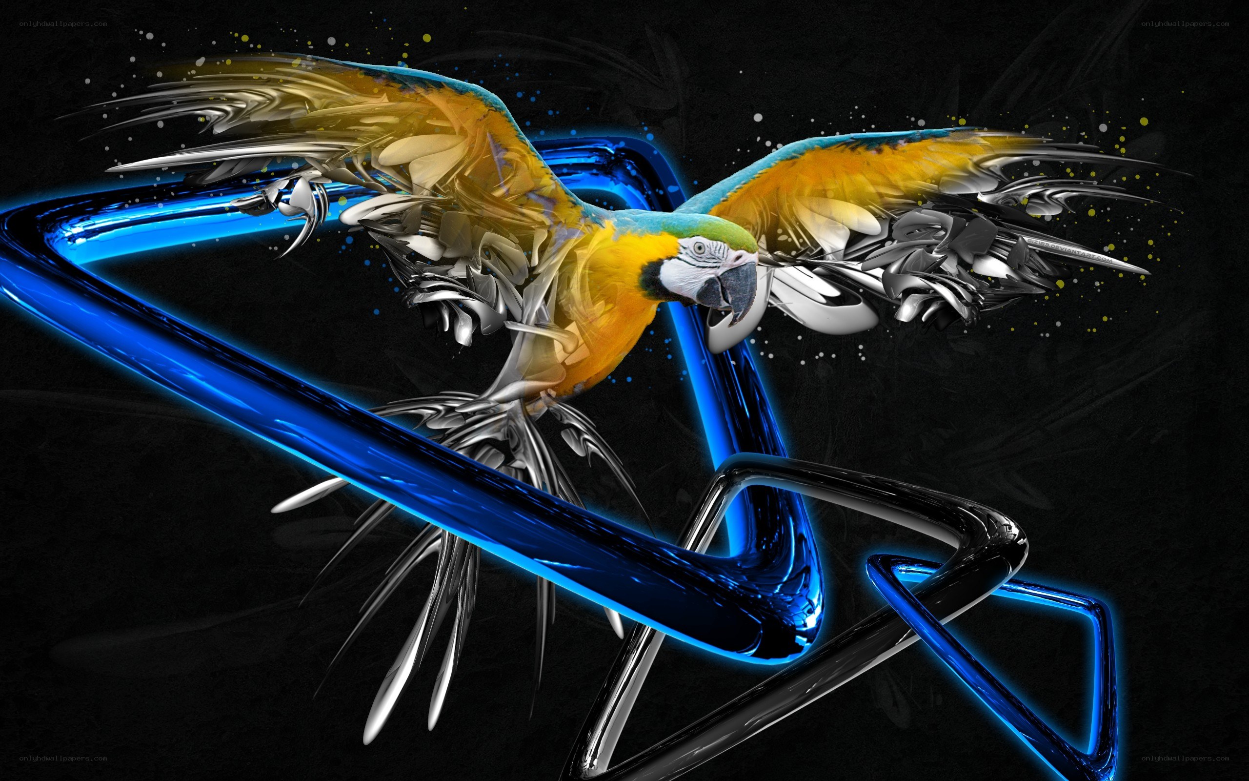 Parrot in neon flight