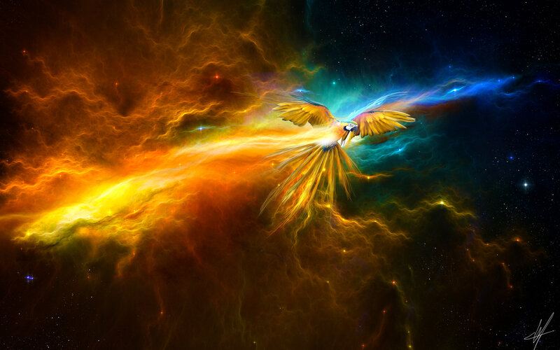 Parrot in Space