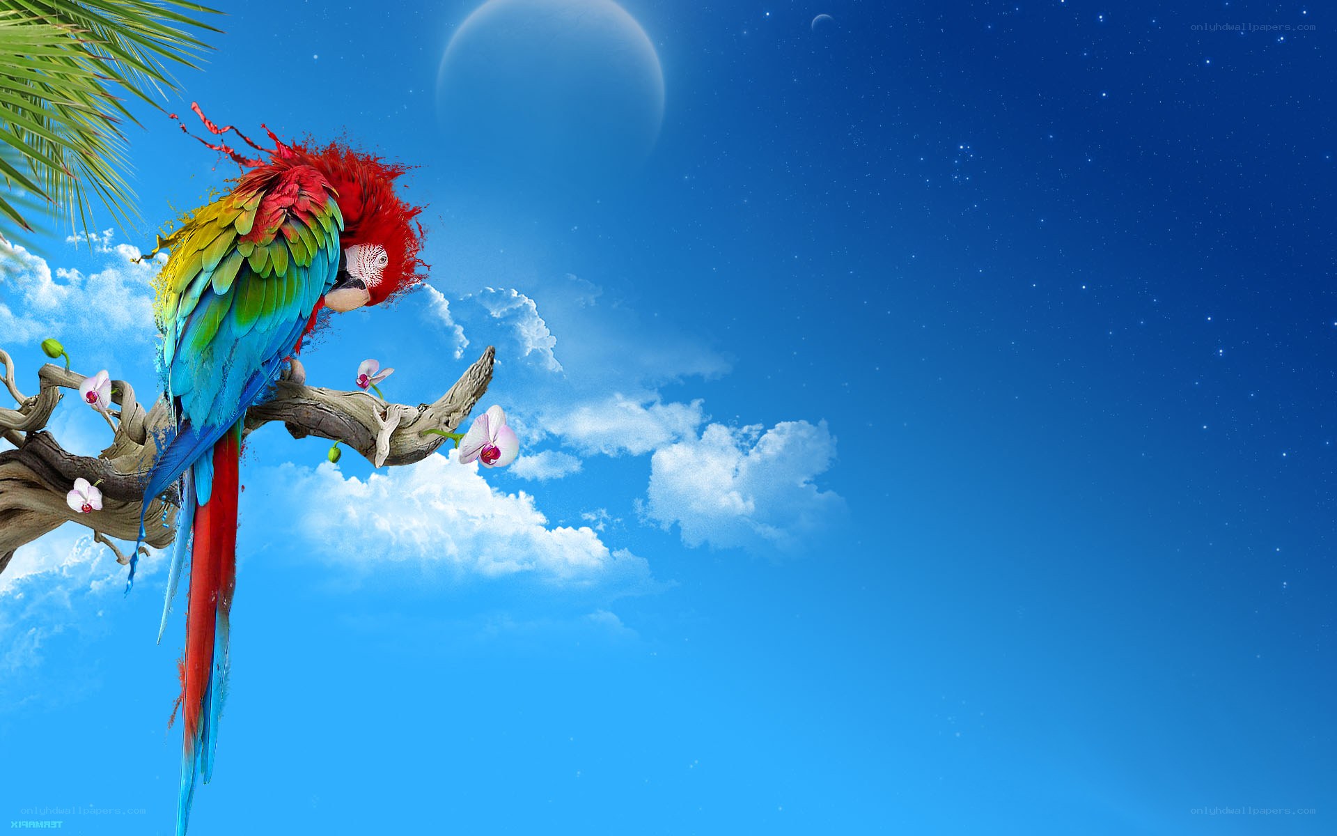 Parrot on a branch