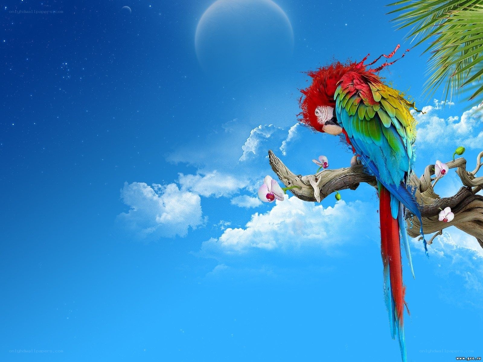 Parrot on a branch under moonlight