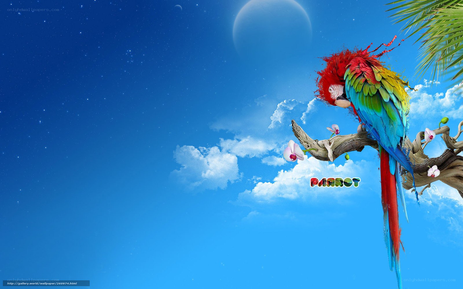 Parrot on a branch