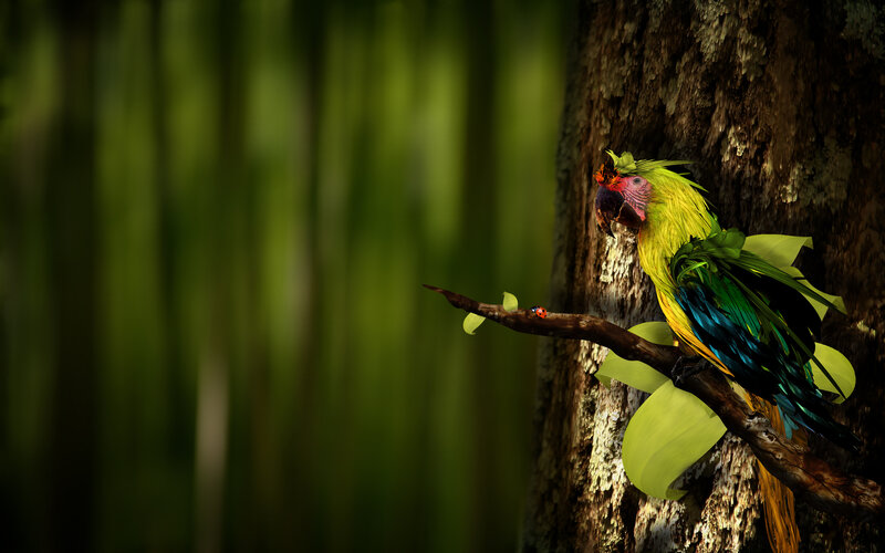 Parrot on a tree branch