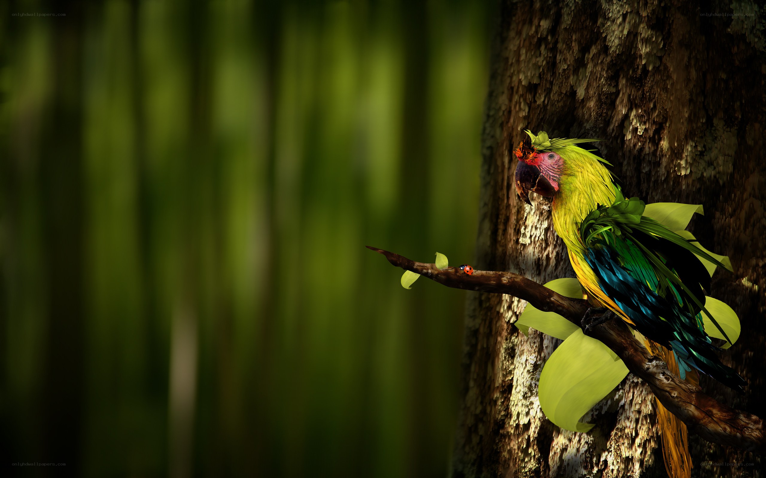 Parrot on a tree branch