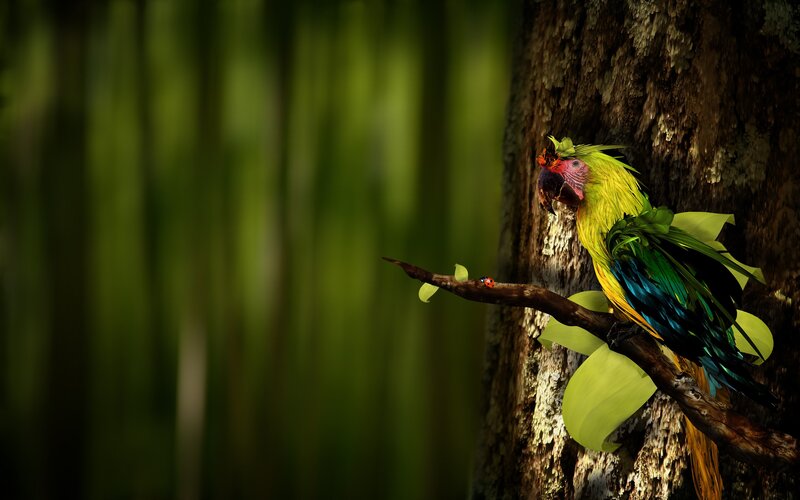 Parrot on a tree branch