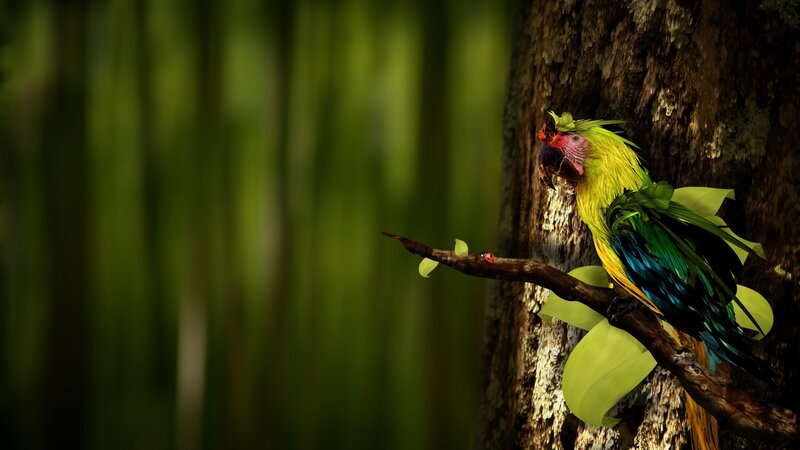 Parrot on a tree branch