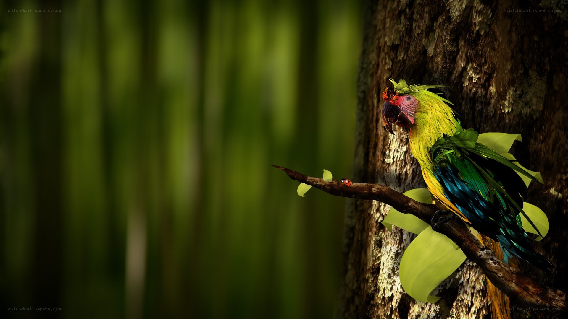 Parrot on a tree branch