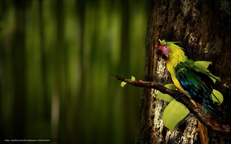 Parrot on a tree branch