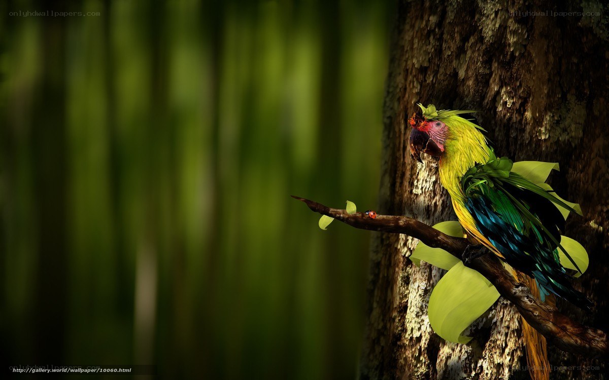 Parrot on a tree branch