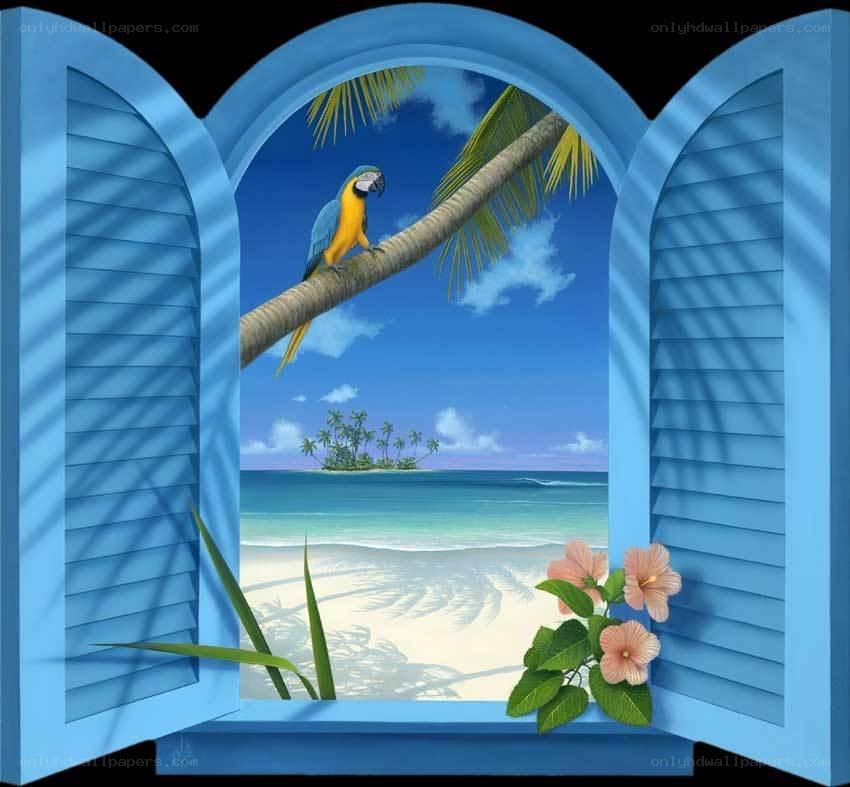 Parrot on a tropical beach