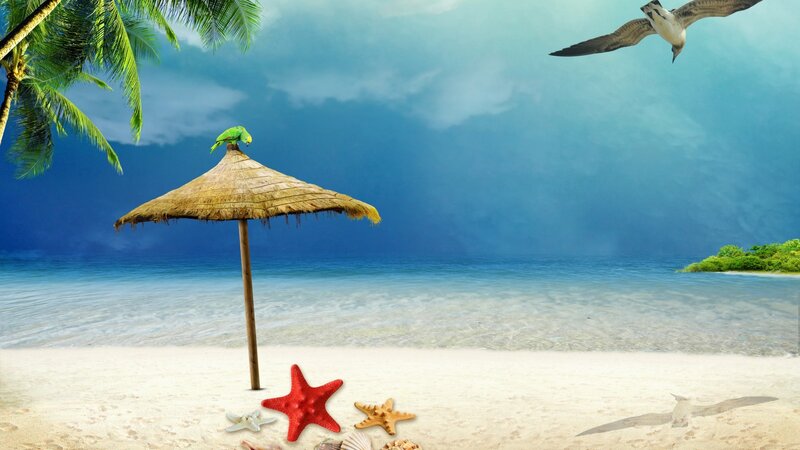Parrot on Beach Umbrella — Blue