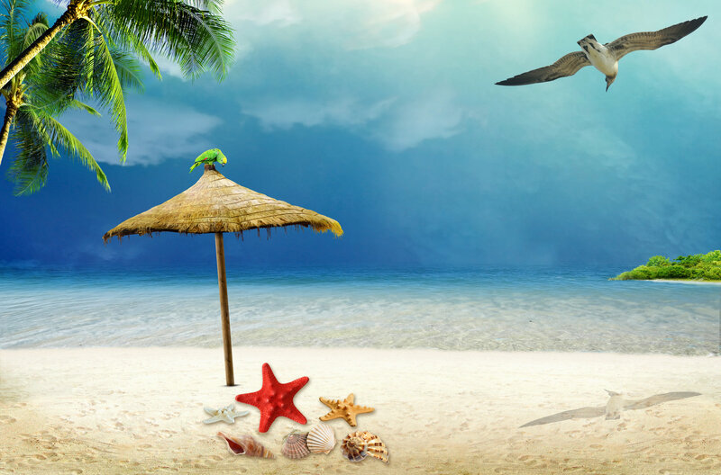 Parrot on Beach Umbrella