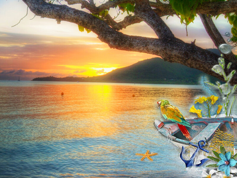 Parrot on Boat at Sunset