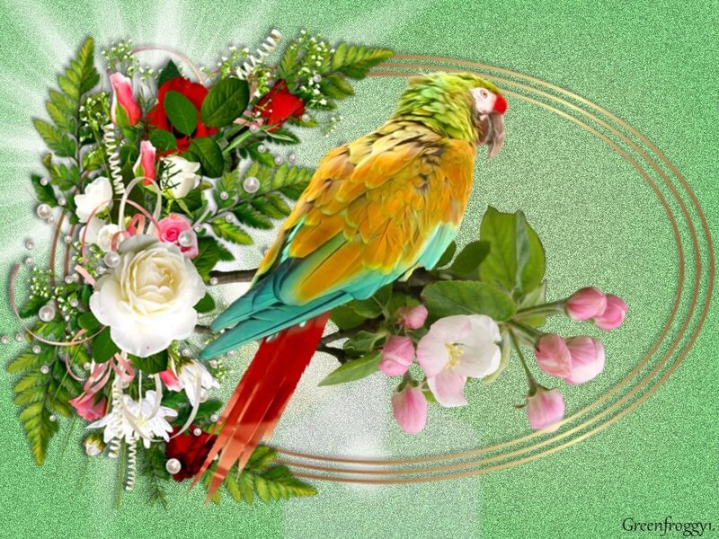 Parrot on Floral Branch