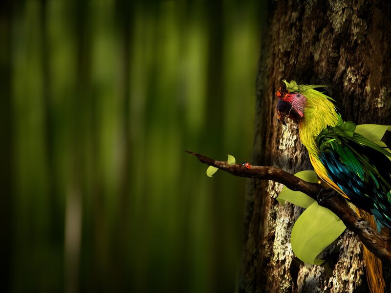 Parrot on Tree Branch — Green