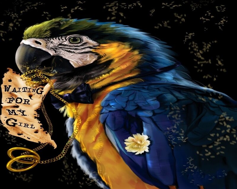 Parrot with Bow Tie