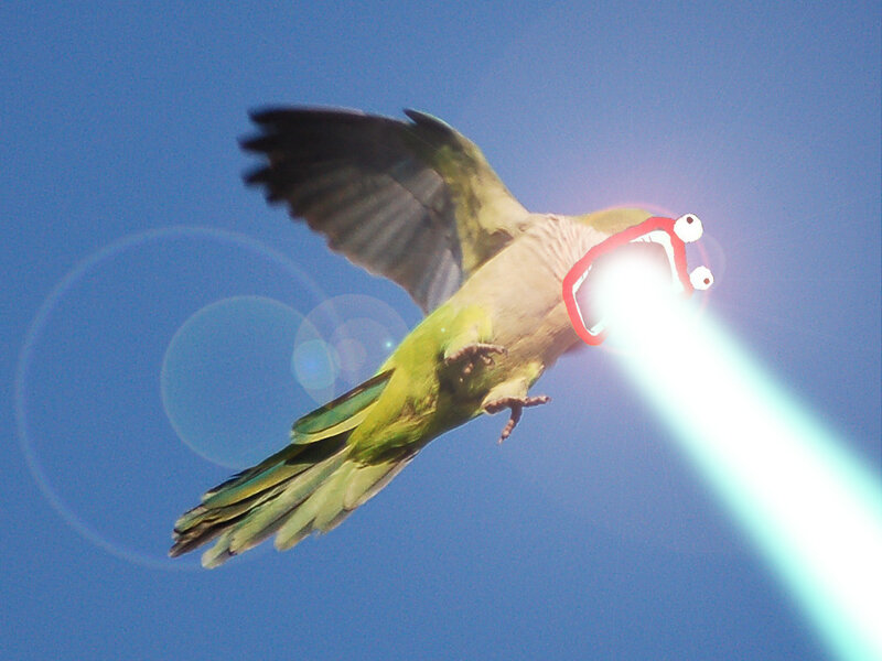 parrot with laser beam