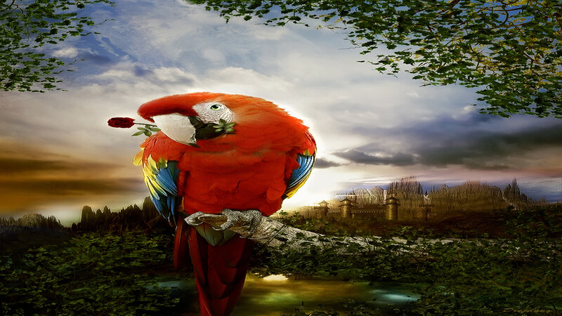 Parrot with rose in fantasy landscape
