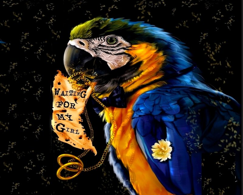 Parrot with Sign