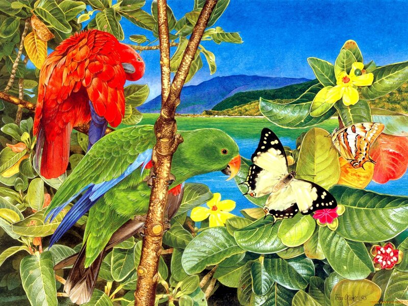 Parrots and Butterflies — Green