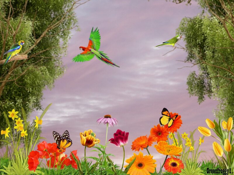 Parrots and Flowers in Garden
