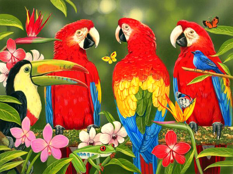 Parrots and Toucan in Jungle
