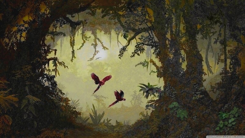 Parrots Flying in Jungle