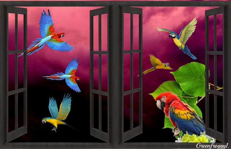 Parrots Flying Outside Window