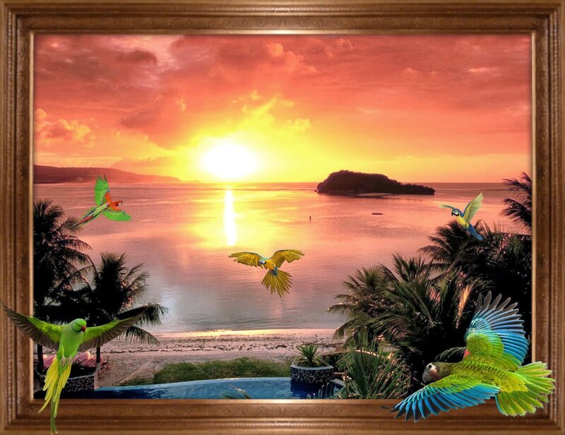 Parrots Flying over Beach