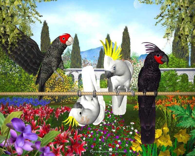 Parrots in a garden