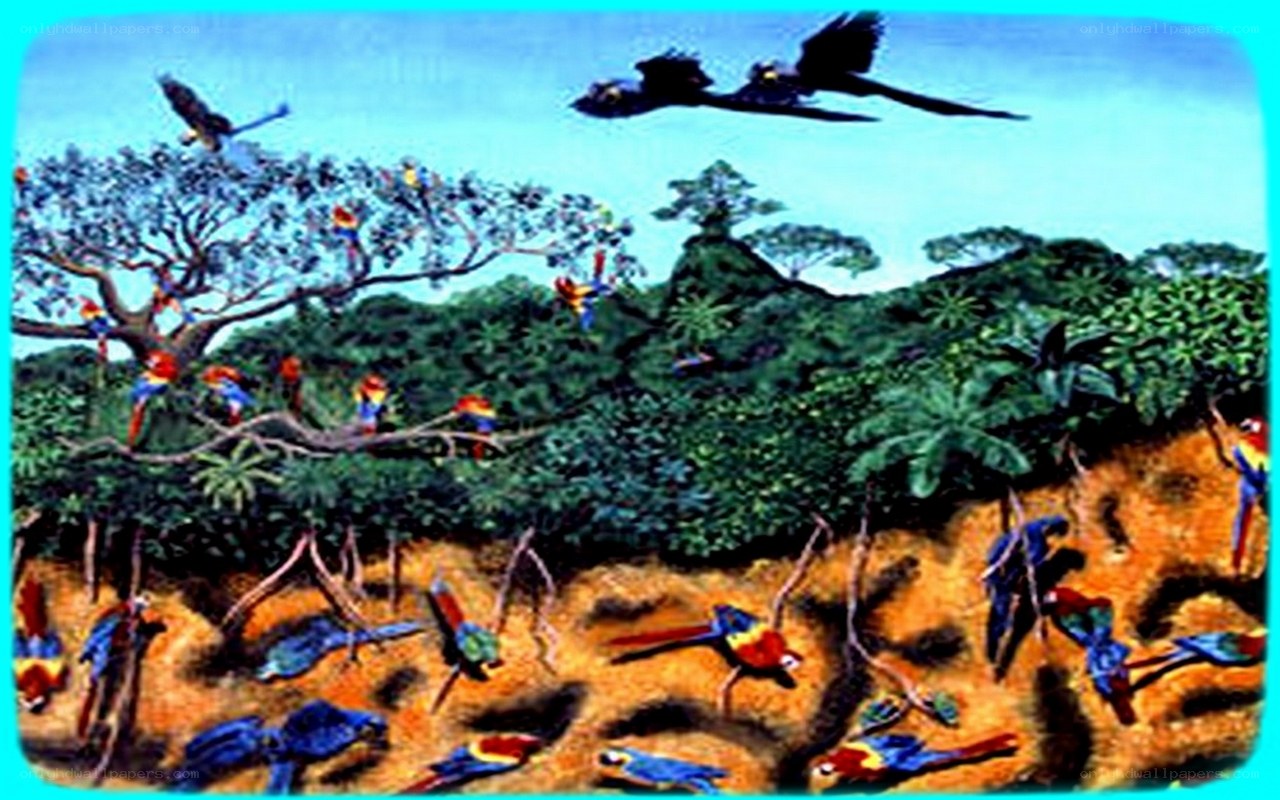 Parrots in a jungle scene