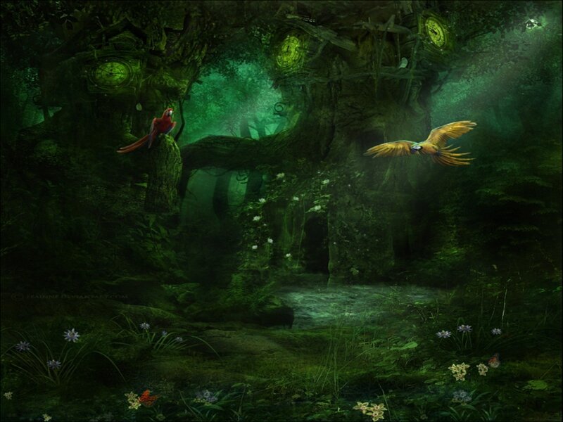 Parrots in Enchanted Forest