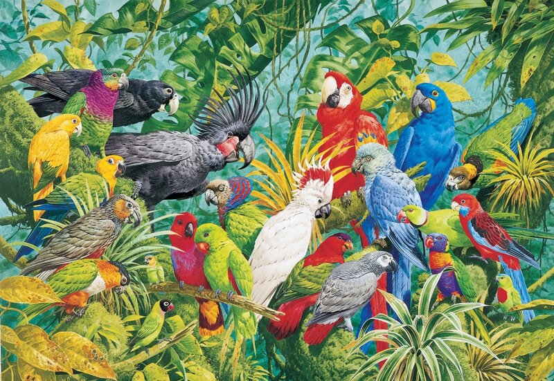 Parrots in Jungle — Green, Vibrant
