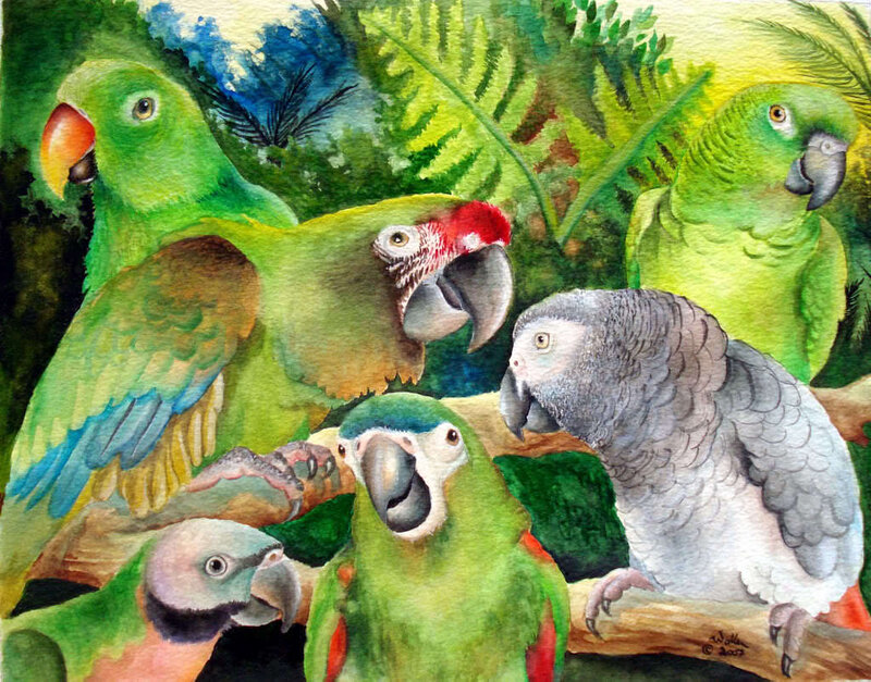 Parrots in Jungle