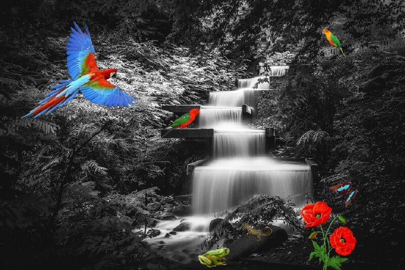 Parrots Near Waterfall