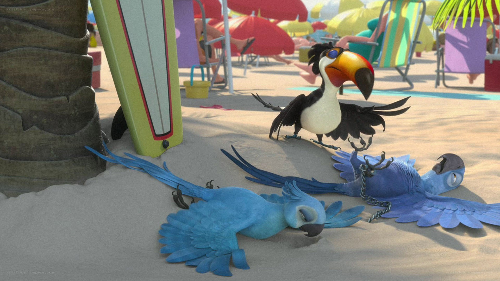 Parrots on a beach scene