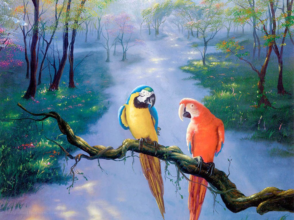 Parrots on a branch in forest