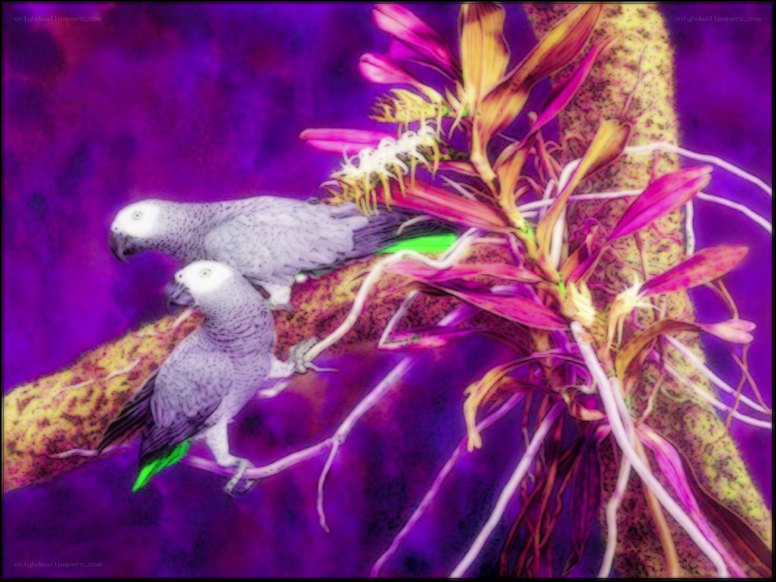 Parrots on a branch with flowers