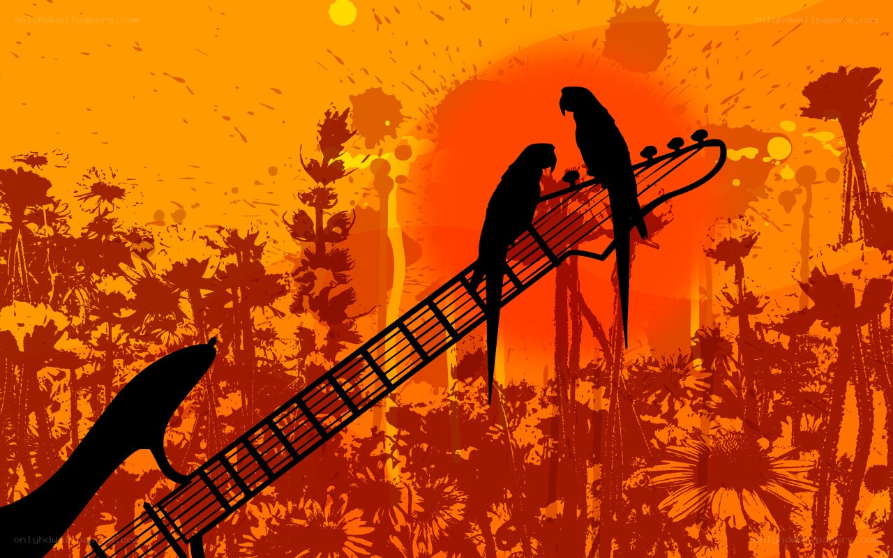 Parrots on a guitar at sunset