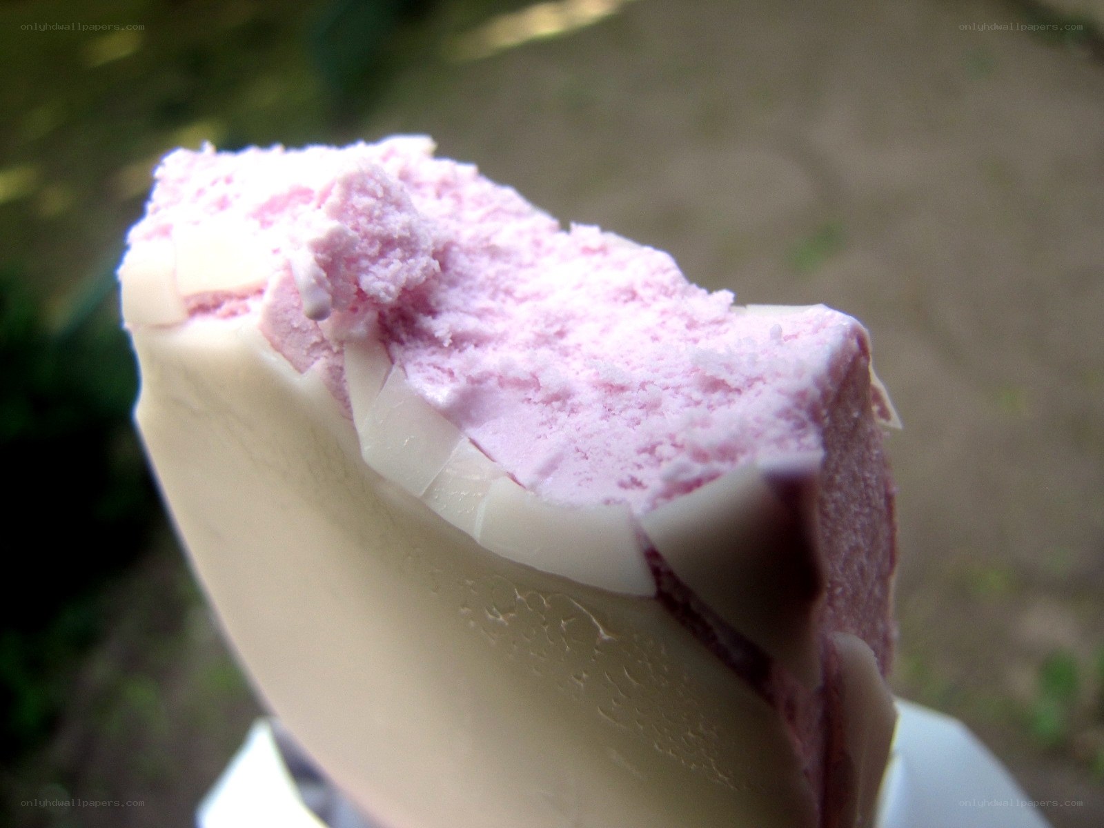 partially eaten ice cream bar