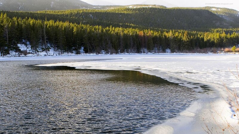 Partially Frozen Lake — Green, Serene, Winter, Photograph