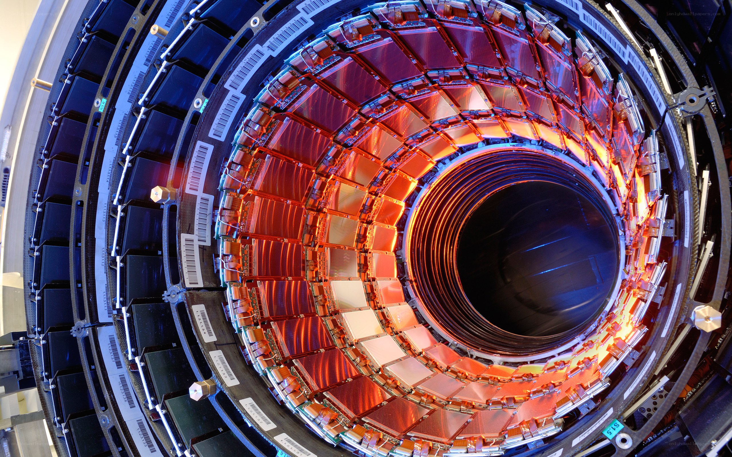 particle detector interior