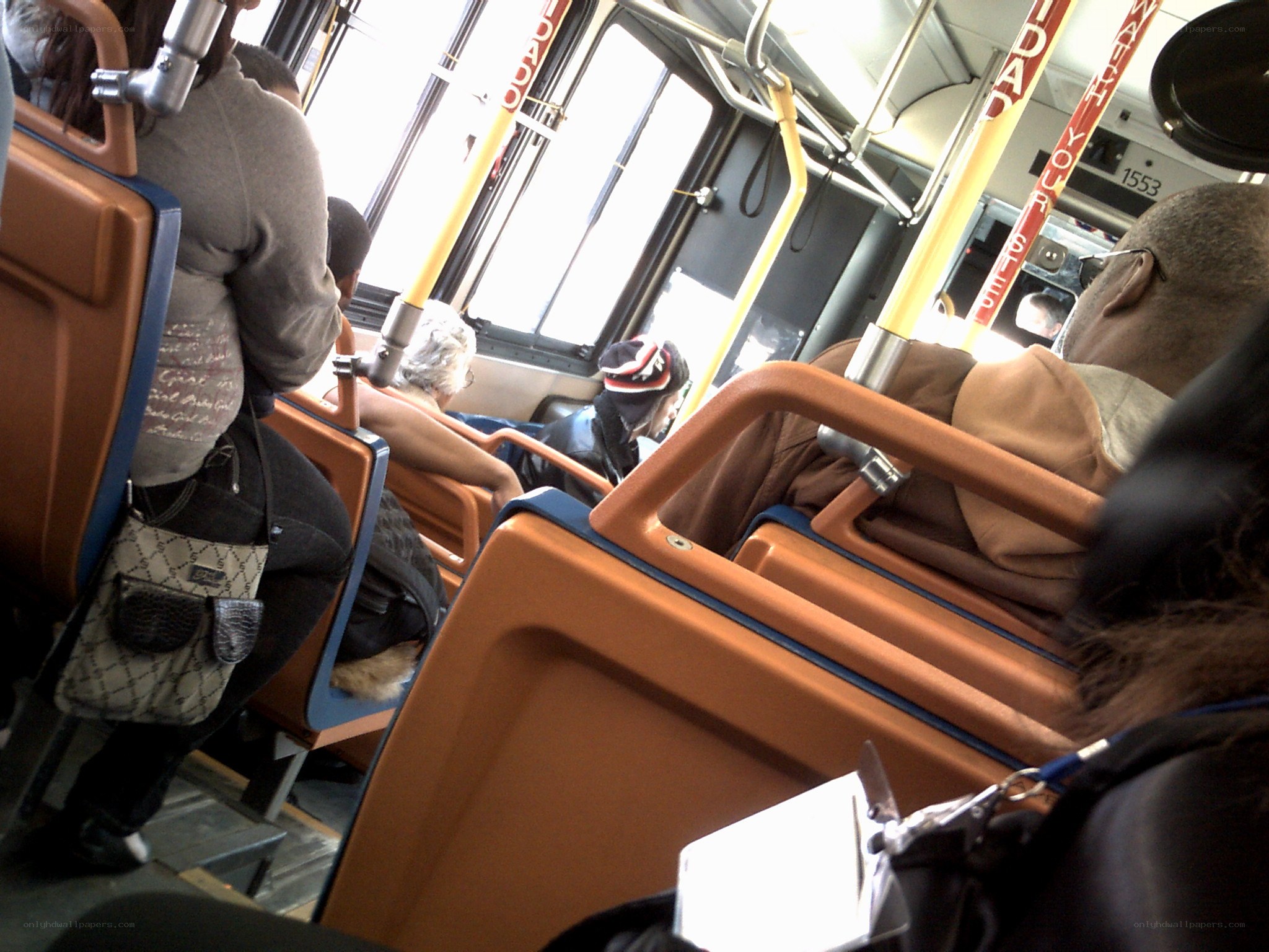 Passengers on a city bus