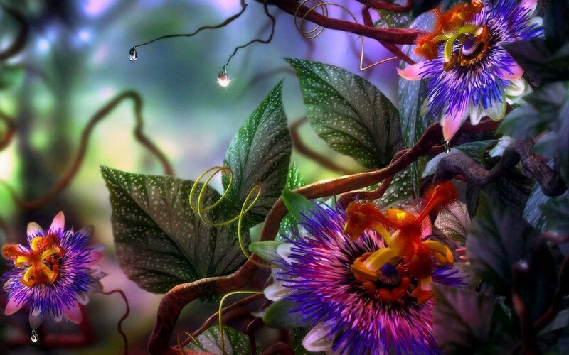 Passion flowers in a dreamy forest