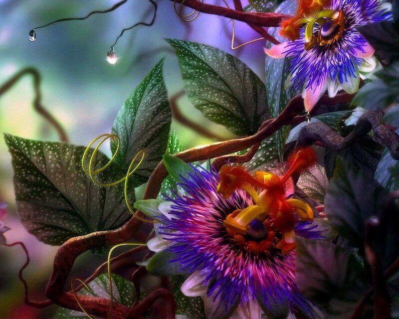 Passion flowers in a dreamy garden
