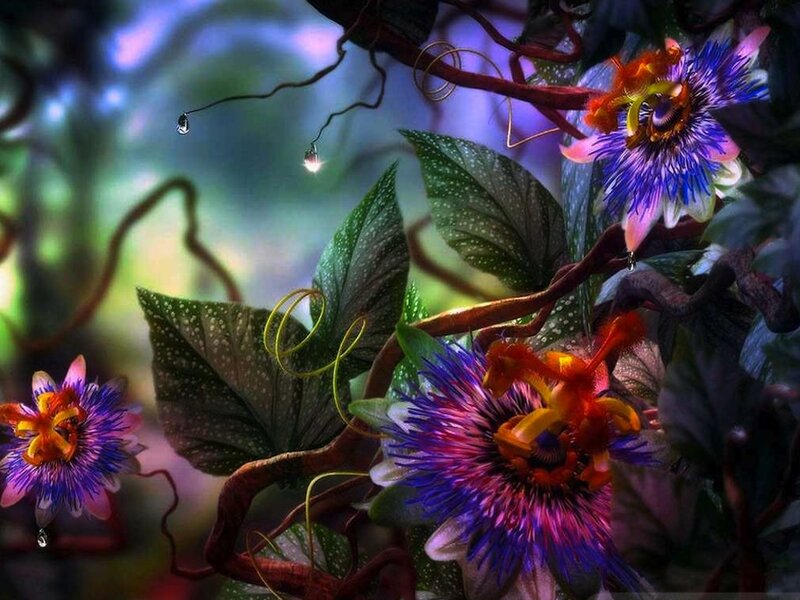Passion Flowers in Forest — Purple