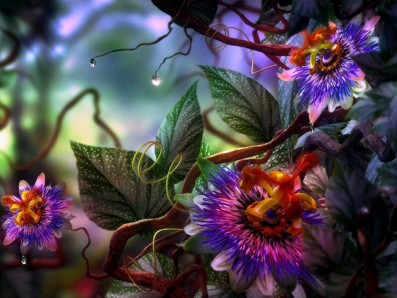 Passion Flowers in Jungle — Purple, Mystical, Digital Art