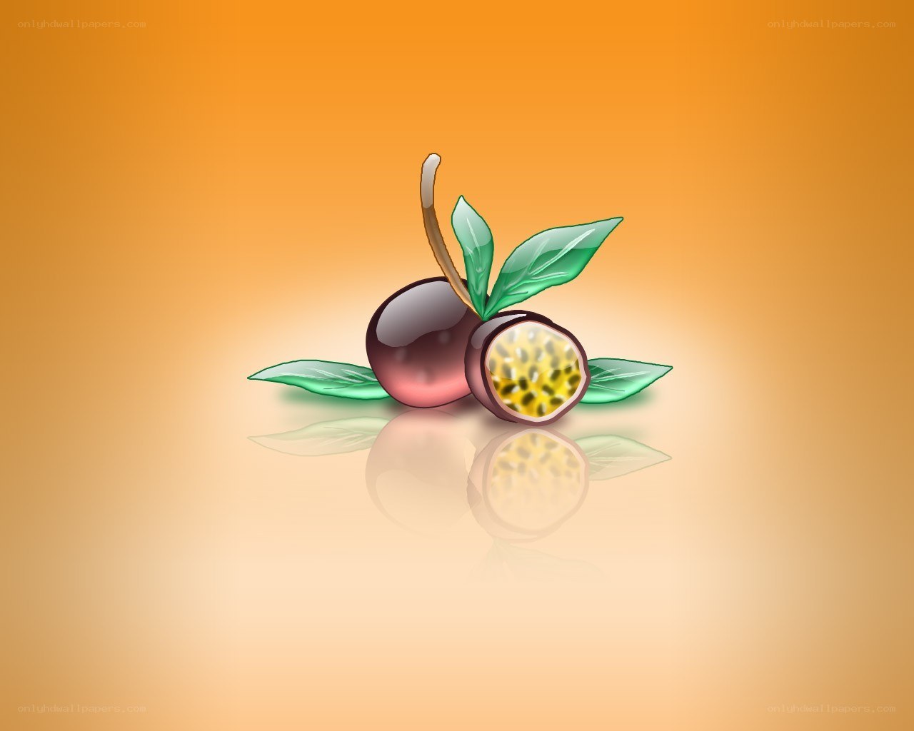 passion fruit illustration