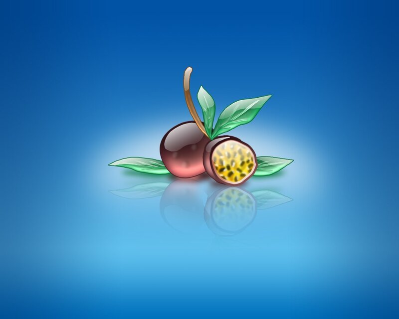 Passion fruit illustration