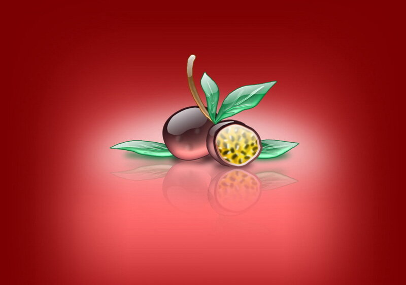 passion fruit illustration